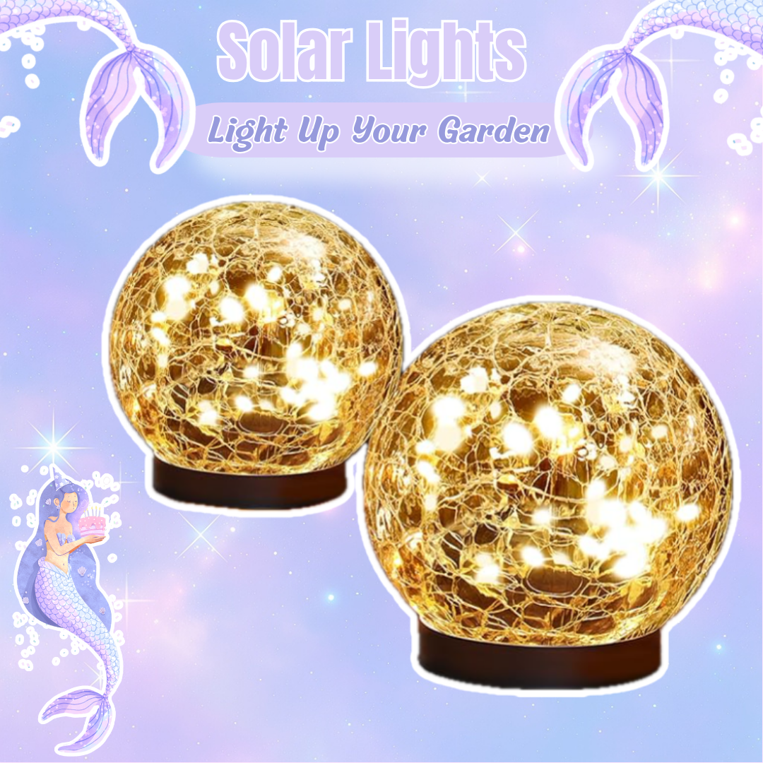 Light Up Your Garden – The Best Solar Outdoor Lights of 2026!