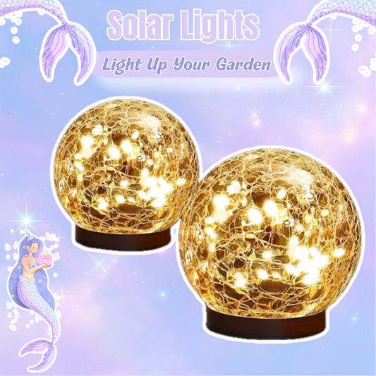 Light Up Your Garden – The Best Solar Outdoor Lights of 2026!