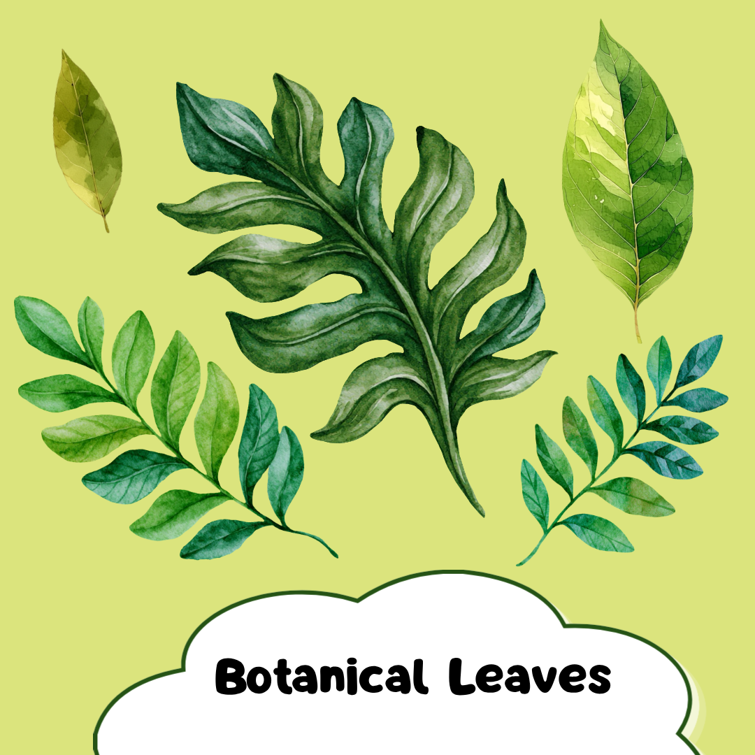 Botanical Leaves PNG Clipart