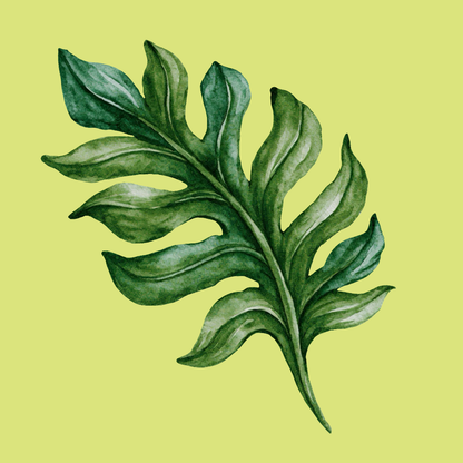 Botanical Leaves PNG Clipart