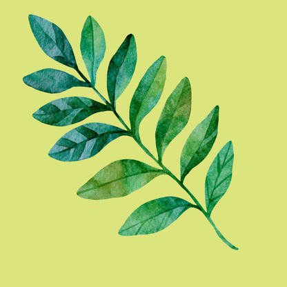 Botanical Leaves PNG Clipart